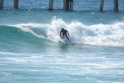 DSC_8392.JPG