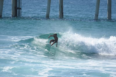 DSC_8395.JPG