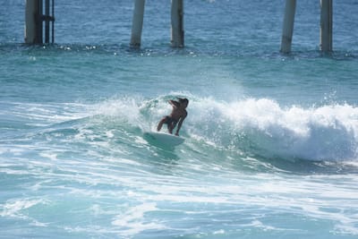 DSC_8396.JPG