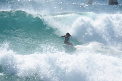 DSC_8433.JPG
