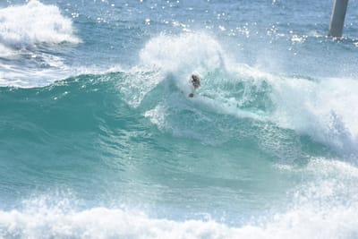 DSC_8439.JPG
