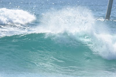 DSC_8441.JPG