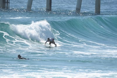 DSC_8445.JPG
