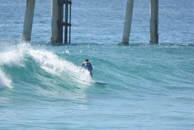 DSC_8468.JPG
