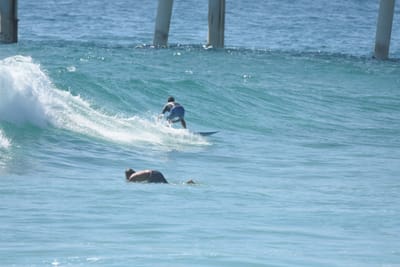 DSC_8471.JPG