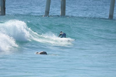 DSC_8472.JPG