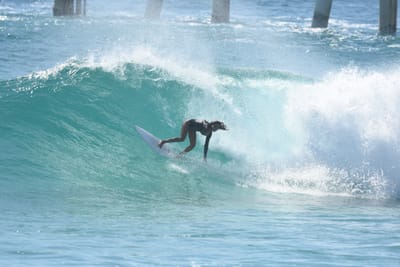 DSC_8485.JPG
