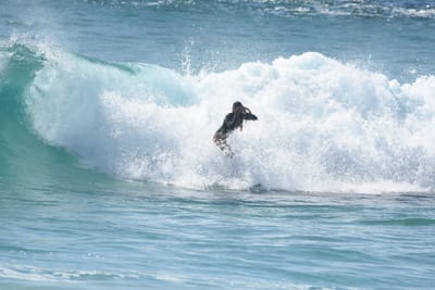 DSC_8494.JPG
