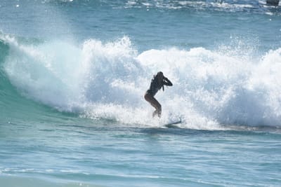DSC_8495.JPG