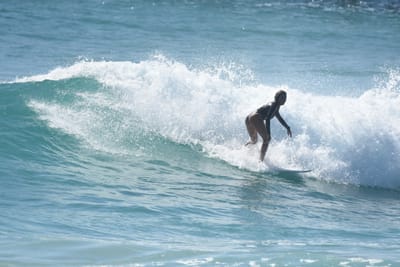 DSC_8502.JPG