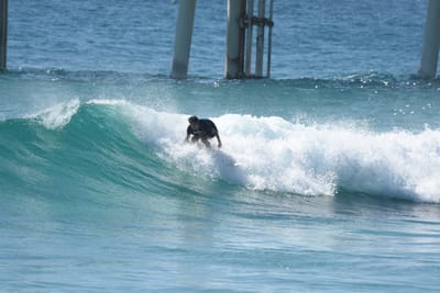 DSC_8510.JPG