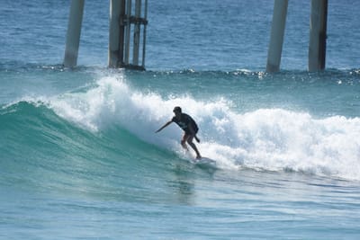 DSC_8511.JPG