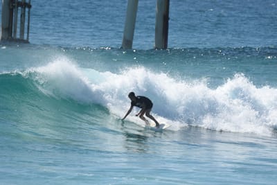 DSC_8514.JPG