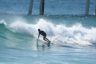 DSC_8515.JPG