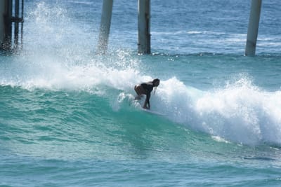 DSC_8545.JPG
