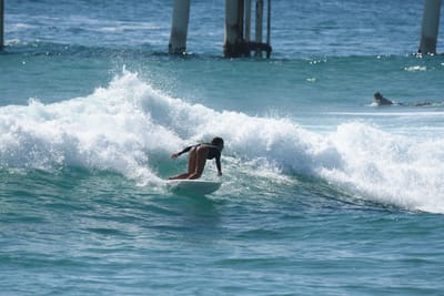 DSC_8553.JPG