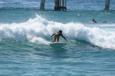 DSC_8554.JPG