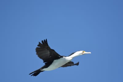 DSC_8563.JPG
