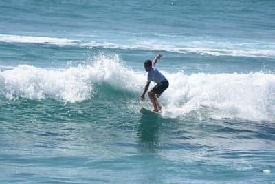 DSC_8568.JPG