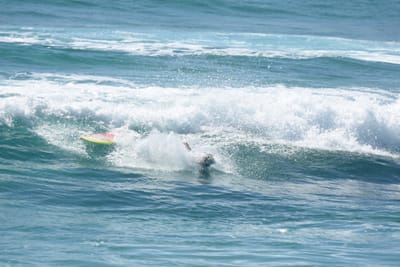 DSC_8570.JPG