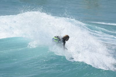 DSC_8623.JPG