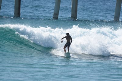 DSC_8626.JPG