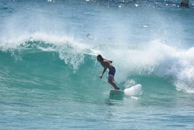 DSC_8654.JPG