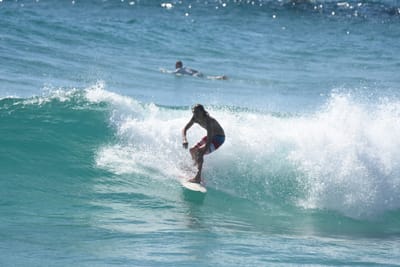 DSC_8660.JPG