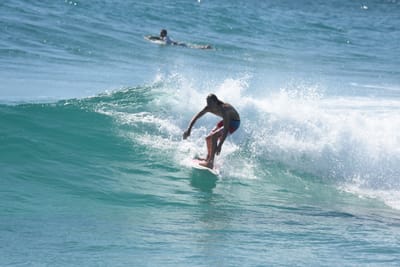 DSC_8662.JPG