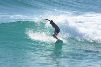 DSC_8667.JPG