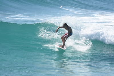 DSC_8669.JPG