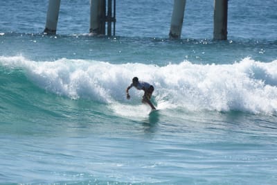 DSC_8711.JPG