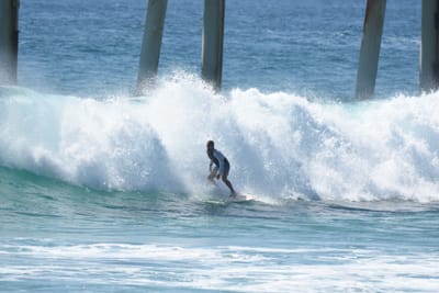 DSC_8733.JPG