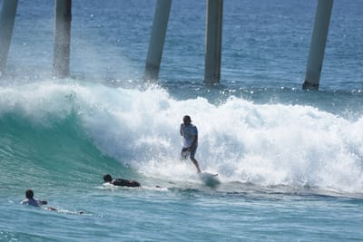 DSC_8744.JPG