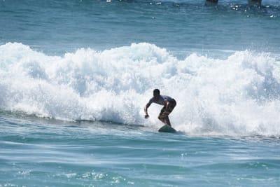 DSC_8755.JPG