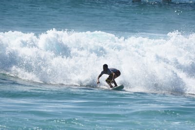 DSC_8756.JPG