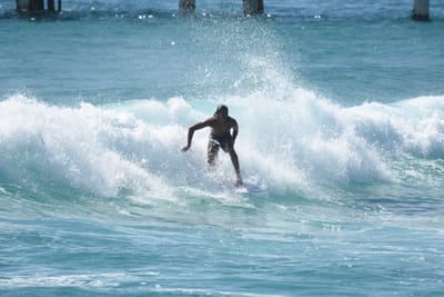 DSC_8767.JPG