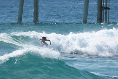 DSC_8774.JPG