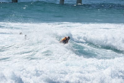 DSC_8779.JPG