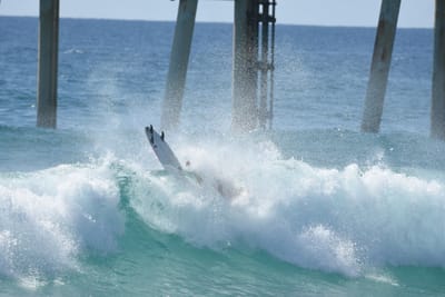 DSC_8846.JPG