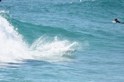 DSC_8946.JPG