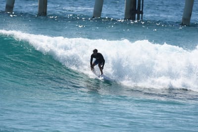 DSC_8984.JPG