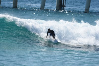 DSC_8985.JPG