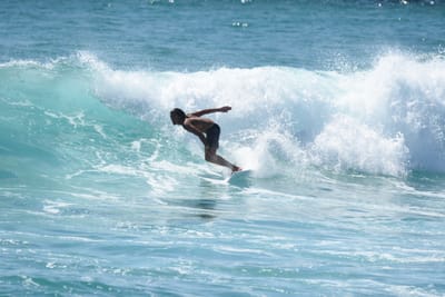 DSC_9031.JPG