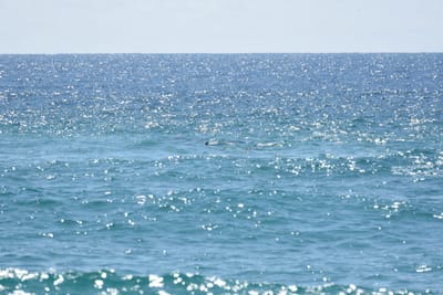 DSC_9070.JPG
