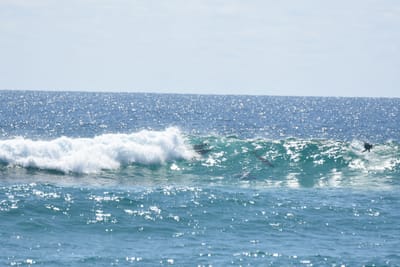 DSC_9072.JPG