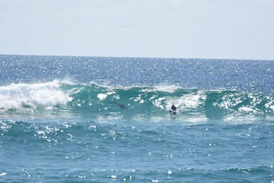 DSC_9073.JPG