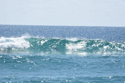 DSC_9074.JPG