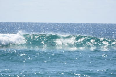 DSC_9075.JPG