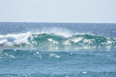 DSC_9076.JPG